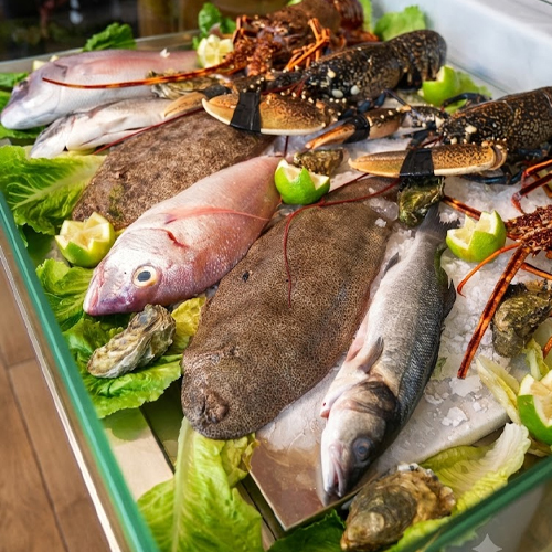 Arrivage de poissons et fruits de mer